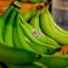 les bienfaits de la banane verte – La Nouvelle Tribune