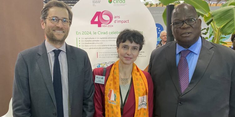 La Côte d’Ivoire en « opération séduction » en Europe pour financer le reboisement de ses forêts