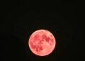 Pleine Lune Rose du 13 avril 2025 : une vague de magie et de renouveau pour 03 signes du zodiaque