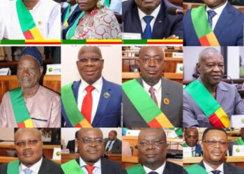 Assemblée nationale, 10e législature: Ces députés carriéristes