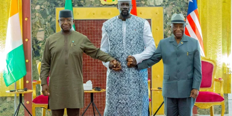 Sommet Mano River : A Conakry, le dialogue privilégié pour désamorcer les crispations