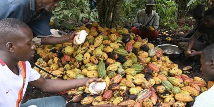 Gestion du risque de prix et durabilité de la cacaoculture ivoirienne, par Dr Denis SEUDIEU et Dr Fulgence MESSAN